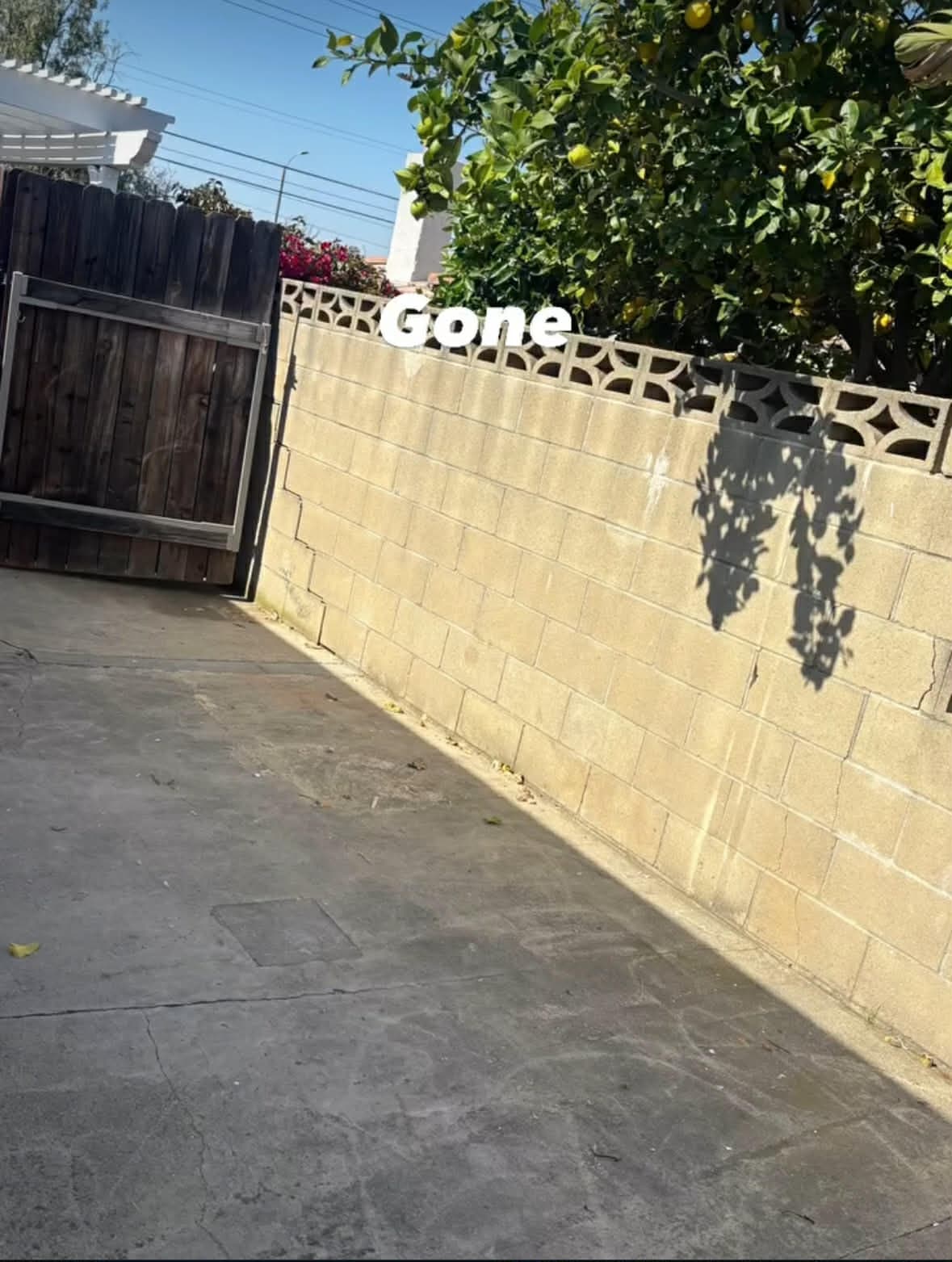 Patio, Gazebo & Outdoor Removal